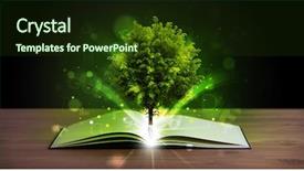  Presentation with light book - Presentation theme featuring open book with magical green background and a tawny brown colored foreground
