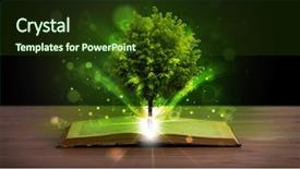  Presentation with light book - Colorful slide set enhanced with open book with magical green backdrop and a  colored foreground