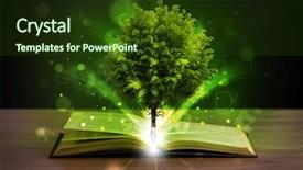  Presentation with green tree - Presentation theme consisting of open book with magical green background and a tawny brown colored foreground