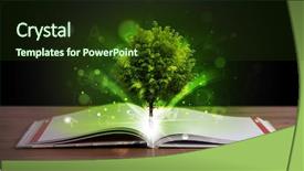  Presentation with green tree - Presentation theme consisting of open book with magical green background and a  colored foreground