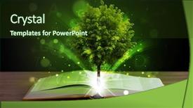  Presentation with light book - Audience pleasing slide set consisting of open book with magical green backdrop and a tawny brown colored foreground
