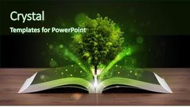  Presentation with green tree - Audience pleasing presentation design consisting of open book with magical green backdrop and a tawny brown colored foreground