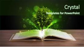  Presentation with light book - Presentation with open book with magical green background and a tawny brown colored foreground