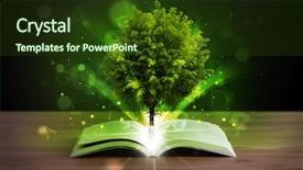  Presentation with light book - Cool new PPT theme with open book with magical green backdrop and a tawny brown colored foreground