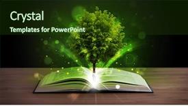  Presentation with green tree - Beautiful slides featuring open book with magical green backdrop and a  colored foreground