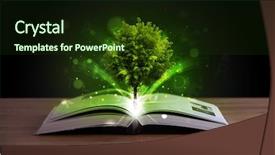  Presentation with green tree - Beautiful theme featuring open-book-with-magical-green backdrop and a tawny brown colored foreground