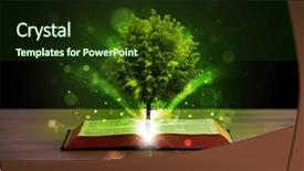  Presentation with green tree - Slide set with open book with magical green background and a tawny brown colored foreground
