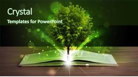  Presentation with light book - Presentation with open book with magical green background and a  colored foreground