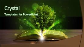  Presentation with green tree - Cool new theme with open book with magical green backdrop and a tawny brown colored foreground