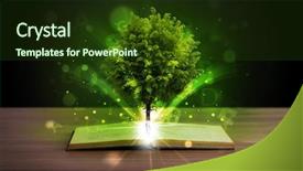  Presentation with light book - Beautiful presentation featuring open book with magical green backdrop and a  colored foreground