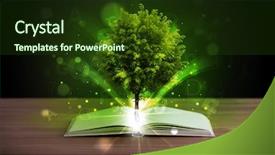  Presentation with light book - Audience pleasing PPT layouts consisting of open book with magical green backdrop and a tawny brown colored foreground