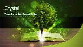  Presentation with light book - Audience pleasing slides consisting of open book with magical green backdrop and a  colored foreground