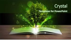  Presentation with light book - Slides having open book with magical green background and a tawny brown colored foreground