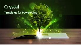  Presentation with green tree - Colorful theme enhanced with open book with magical green backdrop and a  colored foreground