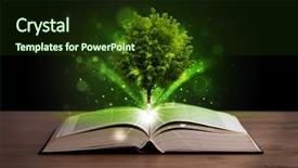  Presentation with green tree - Slide deck featuring open book with magical green background and a tawny brown colored foreground