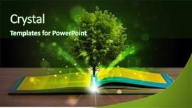  Presentation with light book - Colorful slide set enhanced with open book with magical green backdrop and a  colored foreground