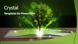  Presentation with green tree - Presentation design having open book with magical green background and a tawny brown colored foreground