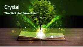 Presentation with green tree - Audience pleasing slides consisting of open book with magical green backdrop and a tawny brown colored foreground