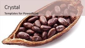  Presentation with cocoa pod - Slide deck having open cocoa pod background and a soft green colored foreground