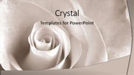  Presentation with quitting soft drink - Amazing PPT theme having open days - soft sepia rose backdrop and a soft green colored foreground