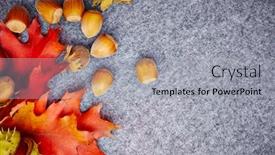  Presentation with maple leaf - PPT theme having open-envelope-with-autumnal-greetings background and a light gray colored foreground