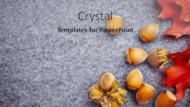  Presentation with maple leaf - Cool new presentation theme with open-envelope-with-autumnal-greetings backdrop and a light gray colored foreground