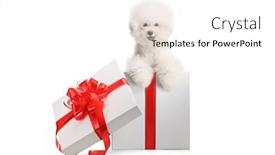  Presentation with gift - PPT layouts enhanced with open-gift-box background and a  colored foreground