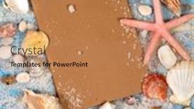  Presentation with starfish - Cool new PPT layouts with open-notebook-with-seashells backdrop and a coral colored foreground