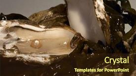  Presentation with pearl oyster - Beautiful presentation featuring open oyster with one pearl backdrop and a wine colored foreground