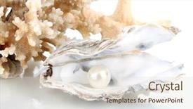  Presentation with pearl oyster - Colorful presentation design enhanced with open oyster with pearl isolated backdrop and a lemonade colored foreground