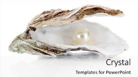 Presentation with pearl oyster - Presentation enhanced with open oyster with pearl isolated background and a white colored foreground