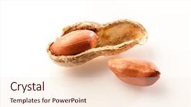  Presentation with peanut shell - PPT theme enhanced with open peanut in a shell background and a lemonade colored foreground