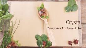  Presentation with recipe book - 