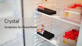  Presentation with plastic containers - Beautiful slides featuring open refrigerator with plastic containers backdrop and a mint green colored foreground