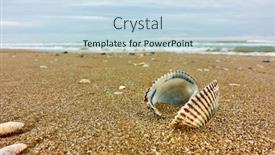  Presentation with sea shell - PPT theme consisting of open-shell-on-sandy-beach background and a sky blue colored foreground