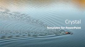  Presentation with swimmer - Presentation consisting of open-water-swimmer background and a light blue colored foreground