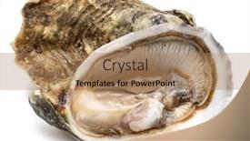  Presentation with food white - Presentation theme having opened-and-closed-raw-oysters background and a coral colored foreground
