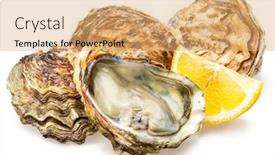  Presentation with food white - Slide set featuring opened-and-closed-raw-oysters background and a coral colored foreground
