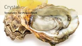  Presentation with food white - Theme featuring opened-and-closed-raw-oysters background and a yellow colored foreground
