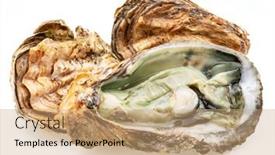  Presentation with food white - Slide deck consisting of opened-and-closed-raw-oysters background and a coral colored foreground