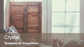  Presentation with light book - Amazing slide deck having opened book light through vintage backdrop and a gray colored foreground