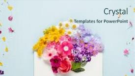  Presentation with blue flower bulb field - Beautiful PPT theme featuring opened envelope with flowers arrangements backdrop and a sky blue colored foreground