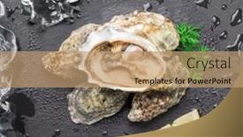  Presentation with stone - Presentation theme consisting of opened-fresh-oysters-on-natural background and a coral colored foreground