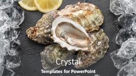  Presentation with abstract natural fresh green - Slides with opened-fresh-oysters-on-natural background and a dark gray colored foreground