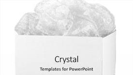  Presentation with octopus on isolated white - Beautiful slides featuring opened-parcel-isolated-on-white backdrop and a white colored foreground