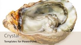  Presentation with food white - PPT layouts with opened-raw-oyster-isolated background and a coral colored foreground