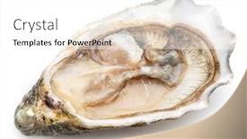  Presentation with food white - PPT theme featuring opened-raw-oyster-isolated background and a white colored foreground