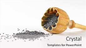  Presentation with exotic soap poppy seed - Slides having opiate - close up of poppy head background and a  colored foreground
