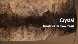  Presentation with new zealand - Presentation design consisting of opossum - genuine new zealand possum pelt background and a wine colored foreground