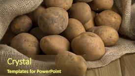 Presentation with dutch - Amazing PPT theme having opperdoezer potatoes in a jute backdrop and a  colored foreground